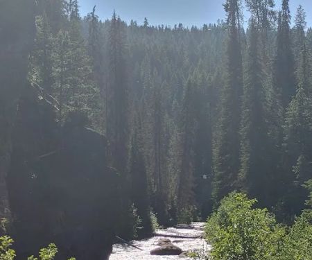 Elk City Ranger District