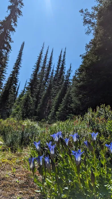 Schumaker Campground Picture 6