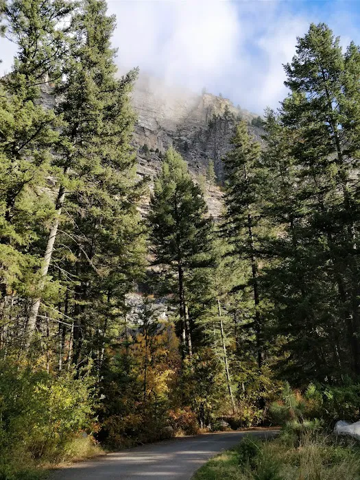 Blodgett Campground Picture 9