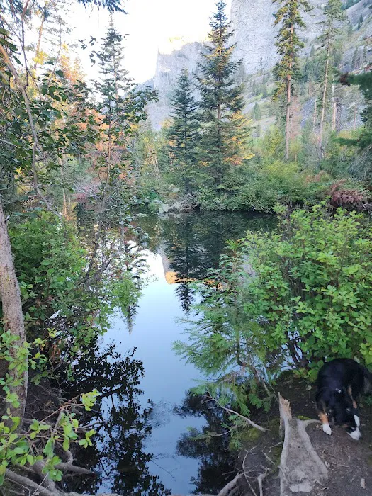 Blodgett Campground Picture 7