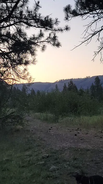 Grizz Flats Campground Picture 1