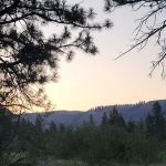 Grizz Flats Campground