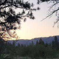 Grizz Flats Campground ico
