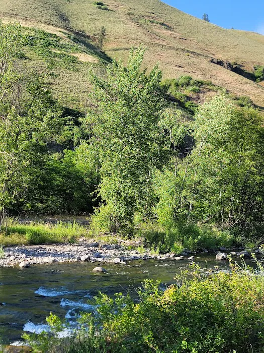 Grizz Flats Campground Picture 8