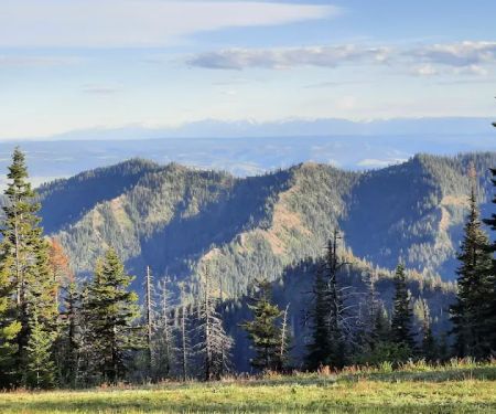 Wickiup Campground