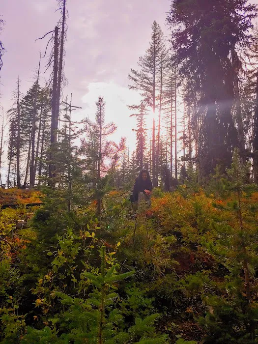 Wickiup Campground Picture 8