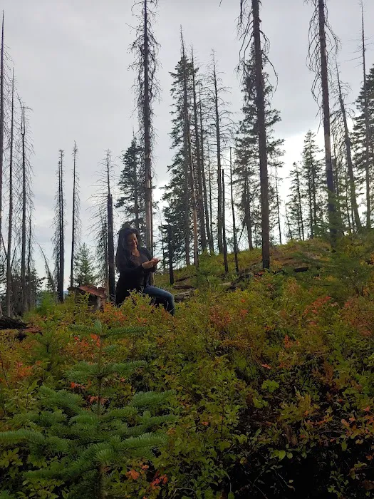 Wickiup Campground Picture 9
