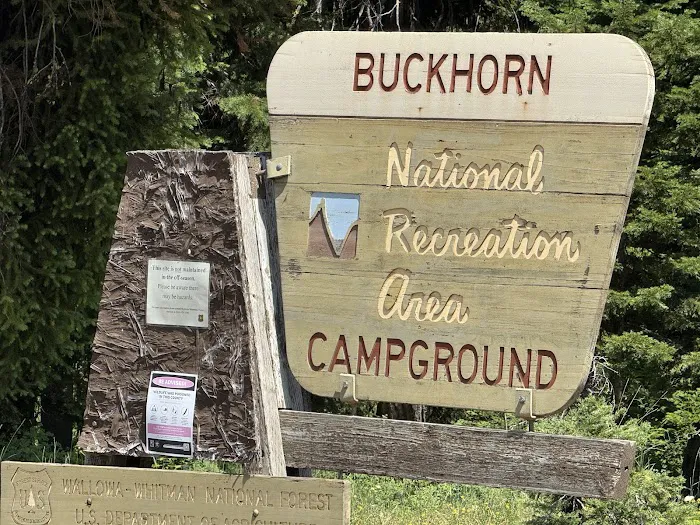 Buckhorn Spring Campground Picture 2