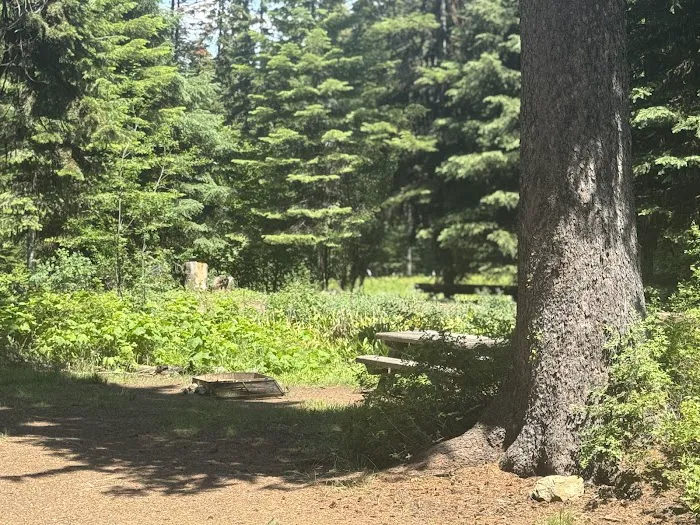 Buckhorn Spring Campground Picture 5
