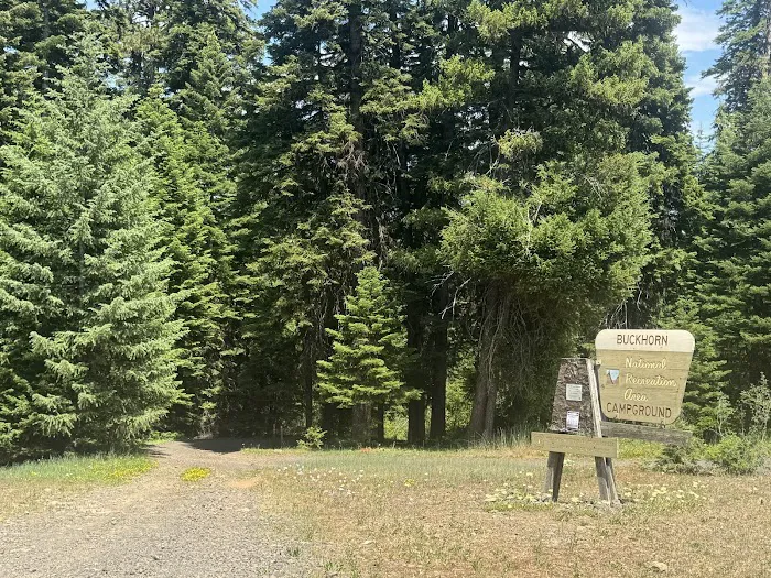 Buckhorn Spring Campground Picture 6