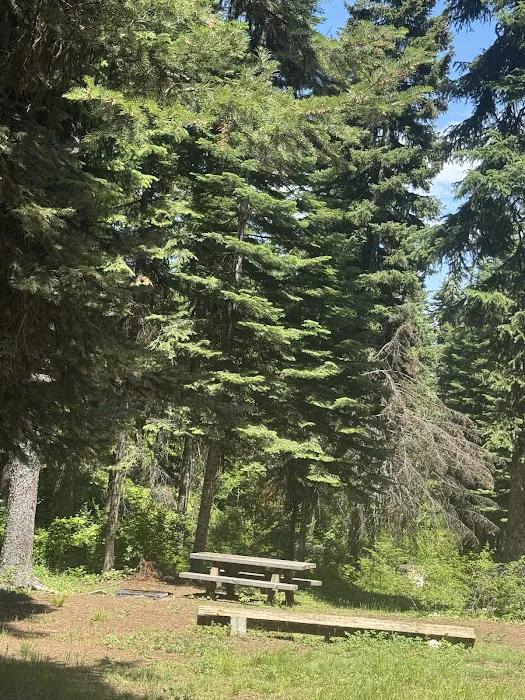 Buckhorn Spring Campground Picture 4