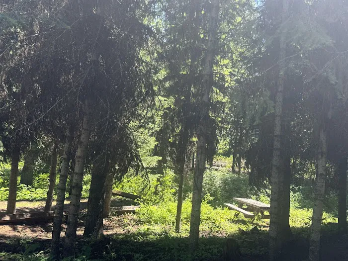 Buckhorn Spring Campground Picture 3