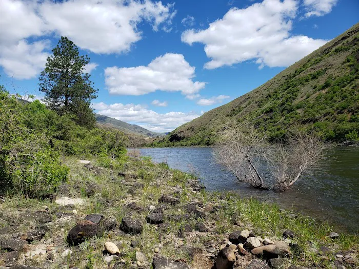 Hammer Creek Campground Picture 4