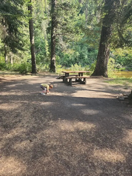 Castle Creek Campground Picture 6