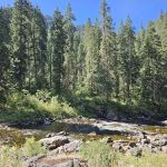 Castle Creek Campground