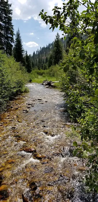 Castle Creek Campground Picture 10