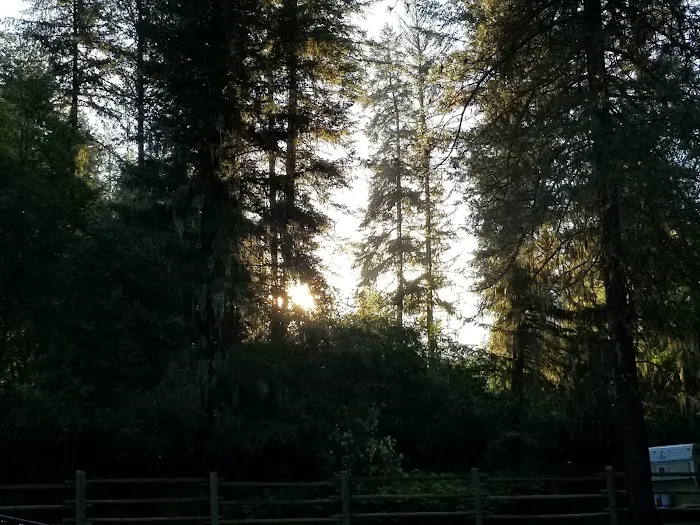 South Fork Campground Picture 5