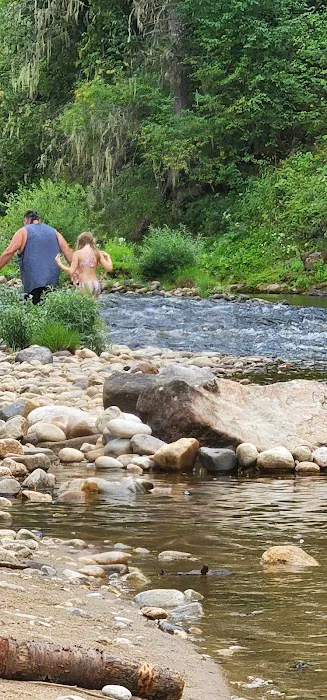South Fork Campground Picture 4