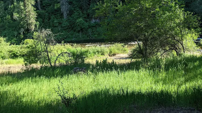 South Fork Campground Picture 8