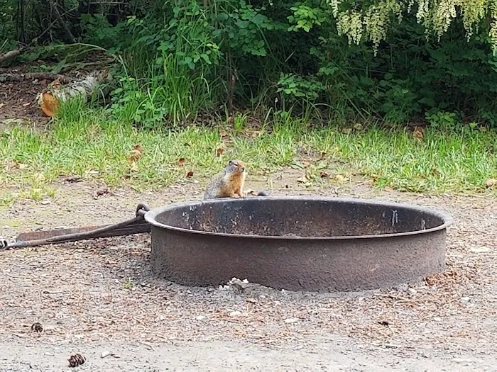 South Fork Campground Picture 9
