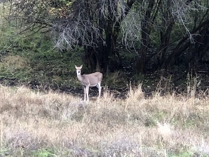 Pittsburg Campground Picture 3