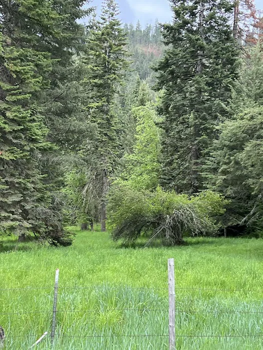 Pittsburg Campground Picture 10