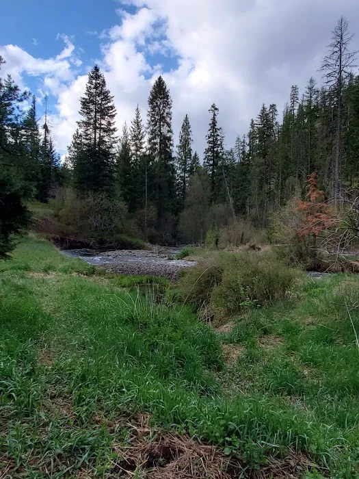 Stockade Spring Campground Picture 6