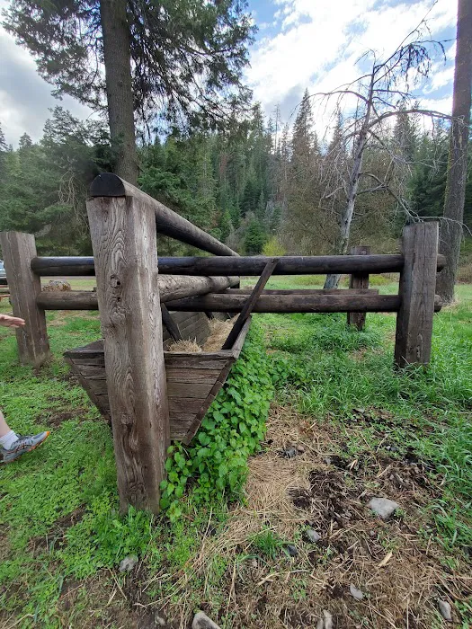 Stockade Spring Campground Picture 3