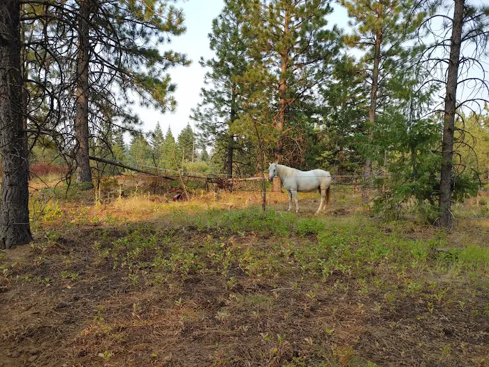 Stockade Spring Campground Picture 7