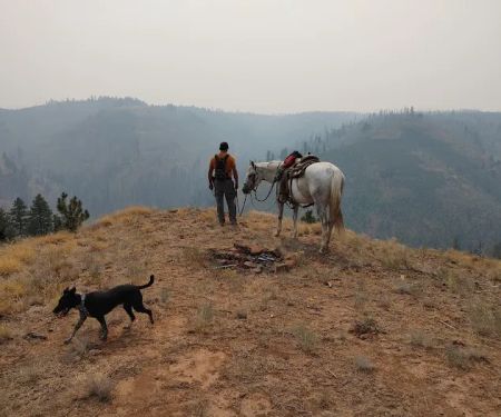 Stockade Spring Campground