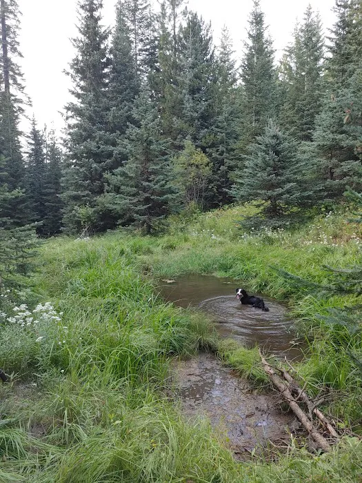 Stockade Spring Campground Picture 5