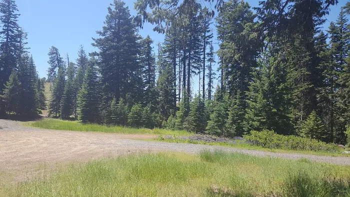 Midway Campground Picture 2