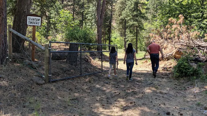 Teancum Timbers Recreation Camp Picture 6