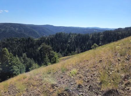 Godman Campground/Trailhead