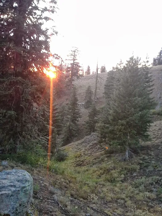 Godman Campground/Trailhead Picture 8
