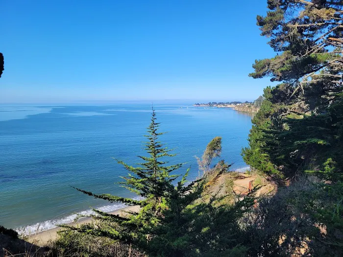 Campground | New Brighton State Beach Picture 5