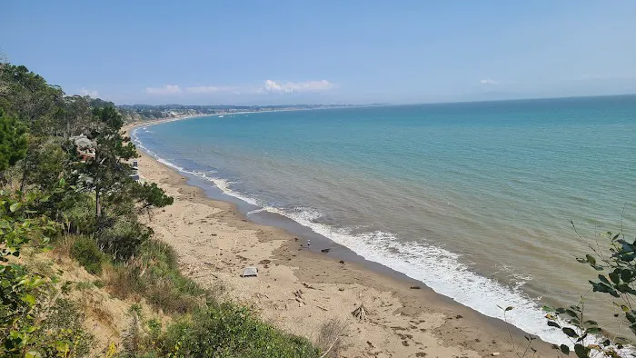 Campground | New Brighton State Beach Picture 3