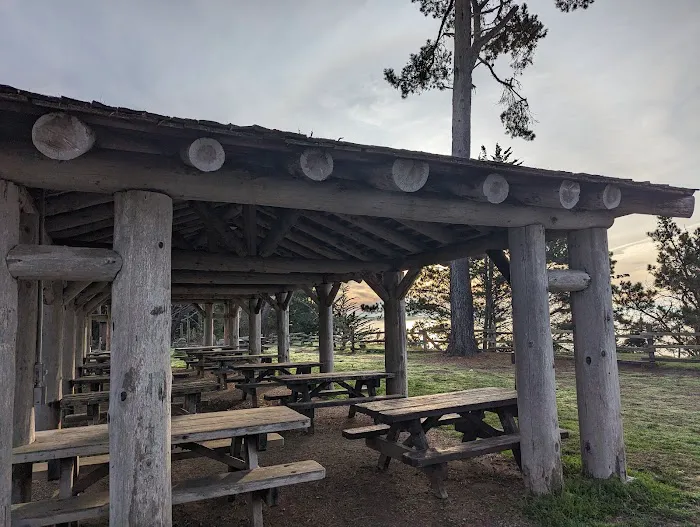 Campground | New Brighton State Beach Picture 6