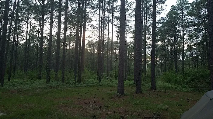 Camping Area Picture 2