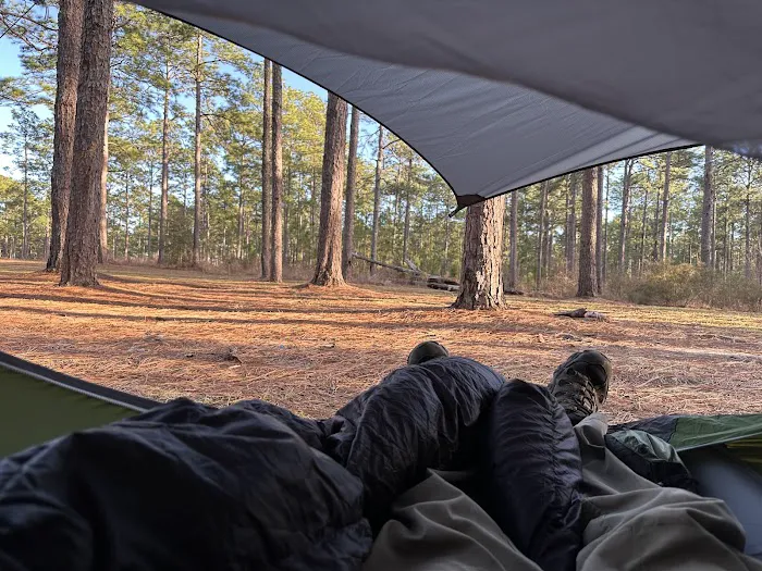 Camping Area Picture 1