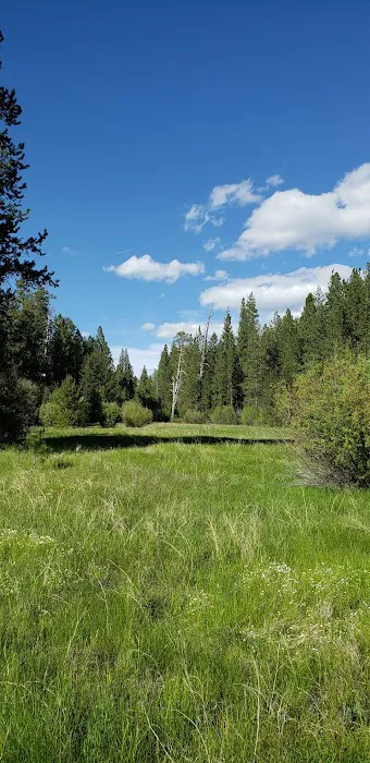 Jackson Creek Campground Picture 2