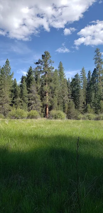 Jackson Creek Campground Picture 3