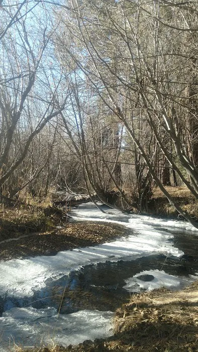 Jackson Creek Campground Picture 1