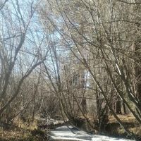 Jackson Creek Campground ico