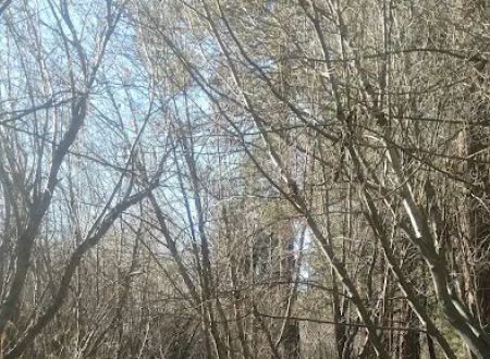 Jackson Creek Campground