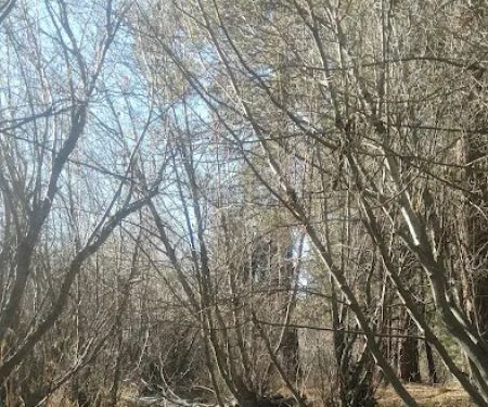 Jackson Creek Campground
