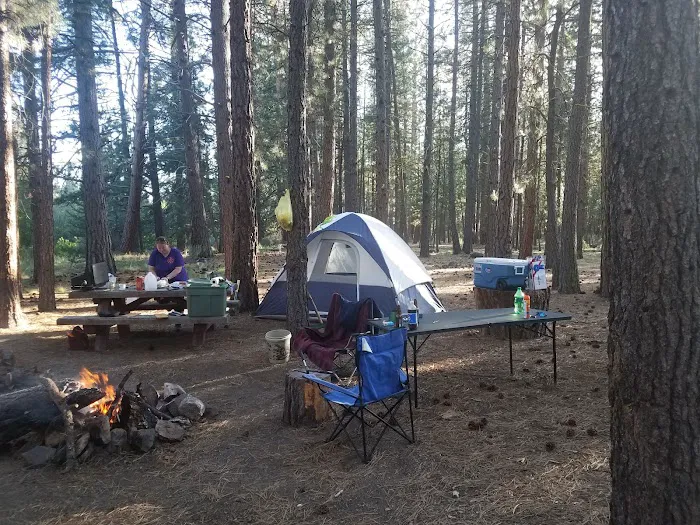 Jackson Creek Campground Picture 6
