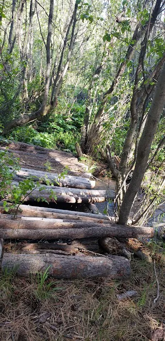 Jackson Creek Campground Picture 5