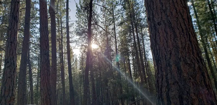 Jackson Creek Campground Picture 9