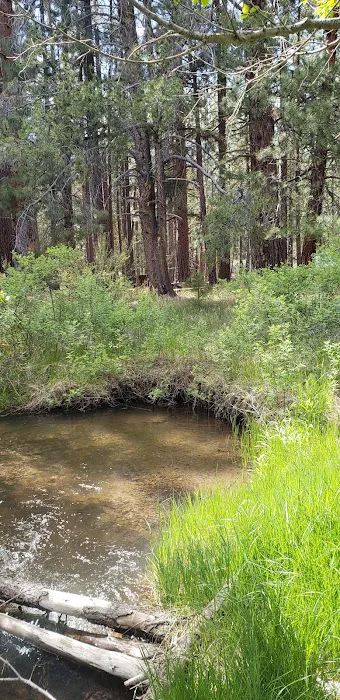 Jackson Creek Campground Picture 4